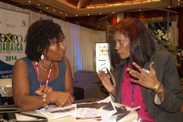 Marlene Porter, Manager for Export Development (right), speaks to an attendee at the Jamaica Diaspora Conference held in 2013. JAMPRO will be marketing Jamaica as a place for investment from the Diaspora community at the 2015 Jamaica Diaspora Conference to be held in Montego Bay.
