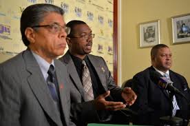 Jamaica seeks business opportunities in diaspora entrepreneurs