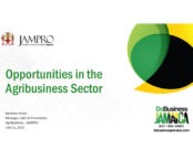 Opportunities in the Agribusiness Sector_JAMPRO